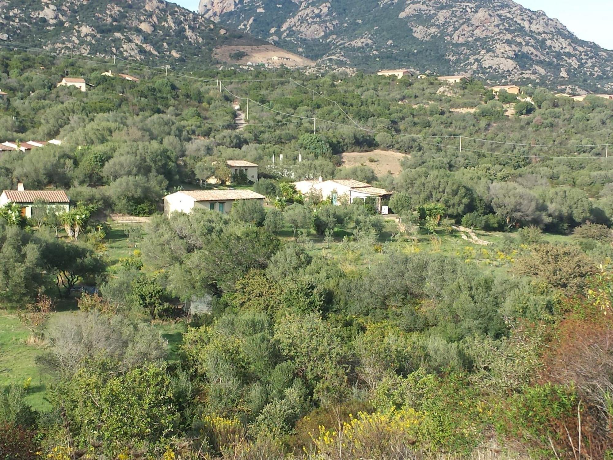 Agriturismo Agrisole Olbia Zewnętrze zdjęcie