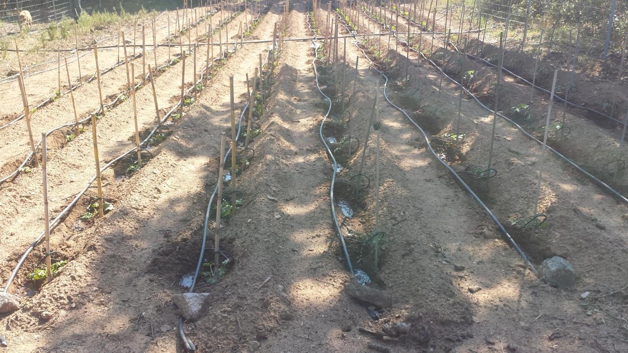 Agriturismo Agrisole Olbia Zewnętrze zdjęcie