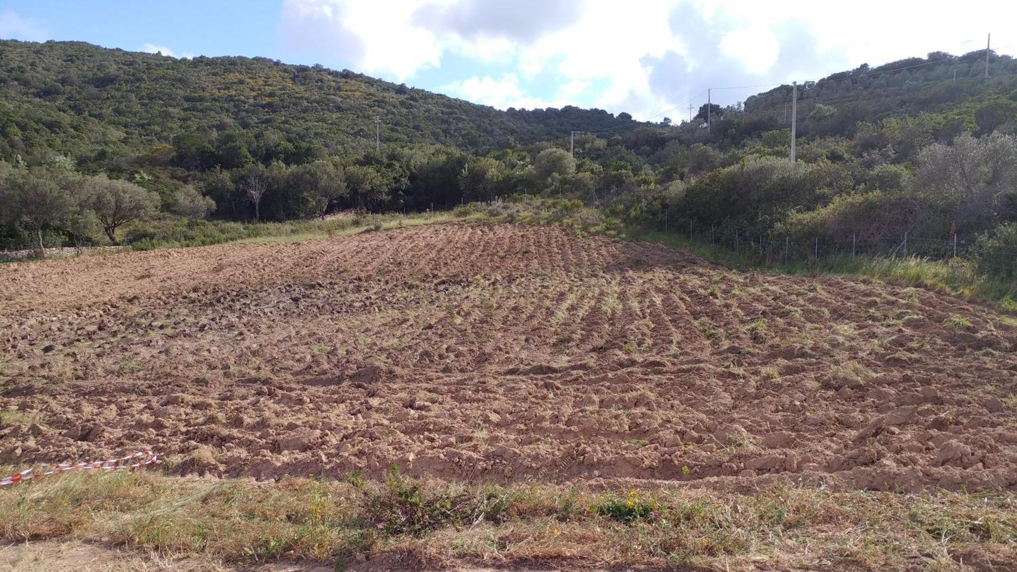 Agriturismo Agrisole Olbia Zewnętrze zdjęcie
