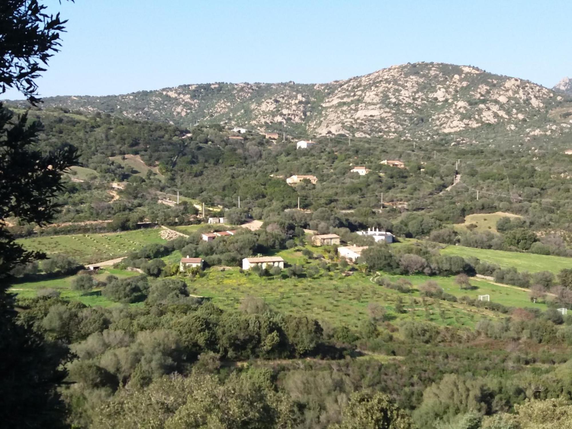 Agriturismo Agrisole Olbia Zewnętrze zdjęcie