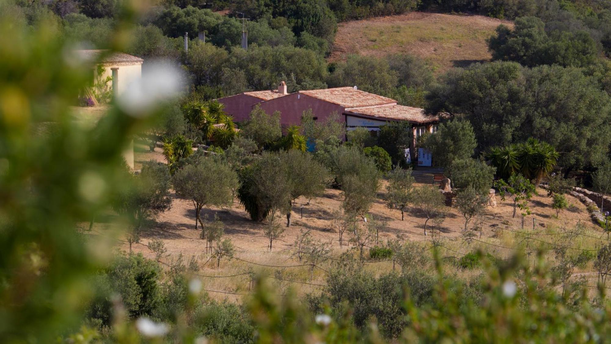 Agriturismo Agrisole Olbia Zewnętrze zdjęcie