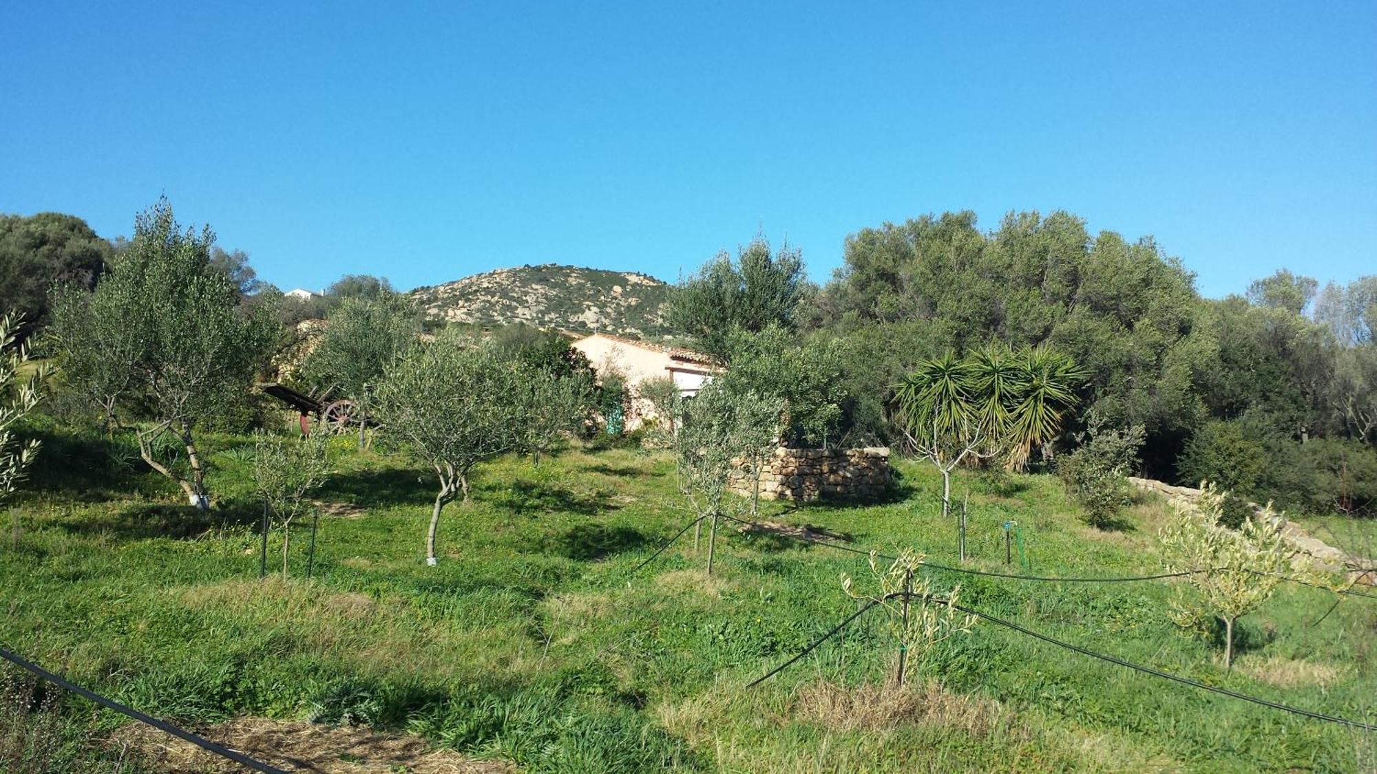 Agriturismo Agrisole Olbia Zewnętrze zdjęcie