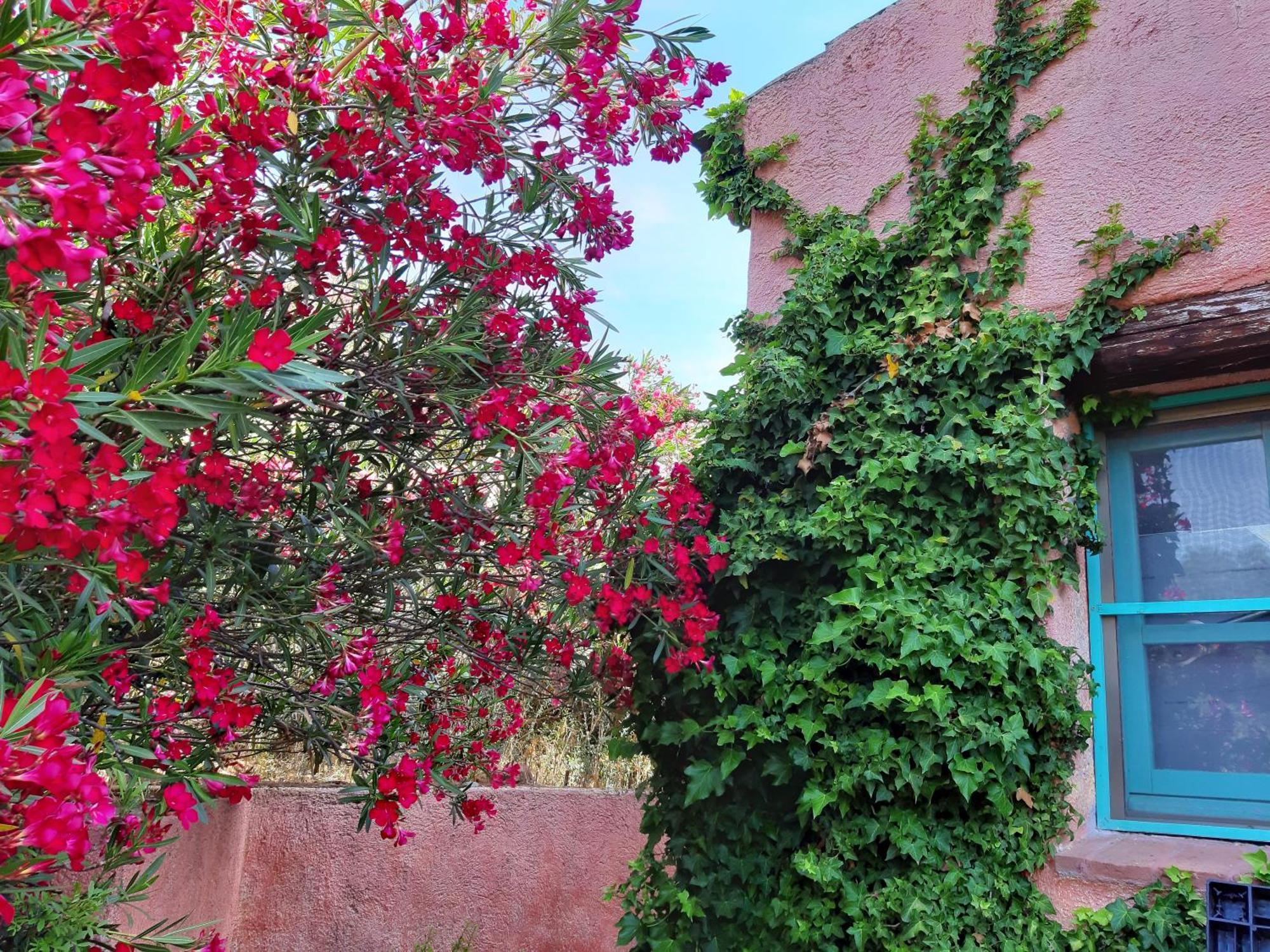 Agriturismo Agrisole Olbia Zewnętrze zdjęcie